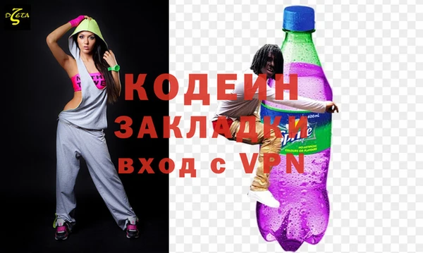 шишки Долгопрудный