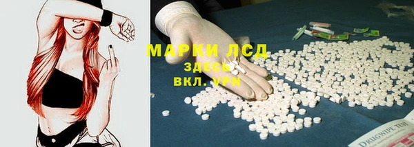 индика Алзамай