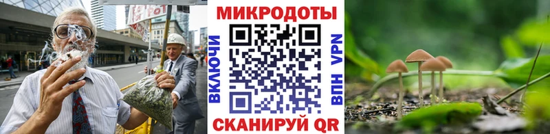 Псилоцибиновые грибы Psilocybe Дюртюли